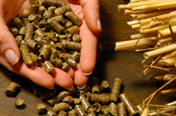 free Smallmarsh biomass boiler quotes